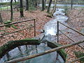 Linke Kahlquelle (Blick in Flussrichtung)