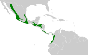 Distribución geográfica del mosquero moñudo común.