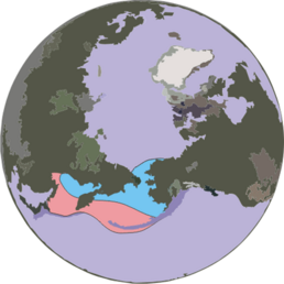 Areál rozšíření (růžová = léto; modrá = maximální)