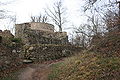 Die Ruine Tannenberg