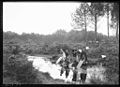 Les lavandières rinçant le linge au ruisseau (cliché Félix Arnaudin).