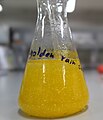 lead iodide