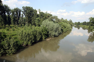 Altrhein near Stockstadt, Kühkopf to the left