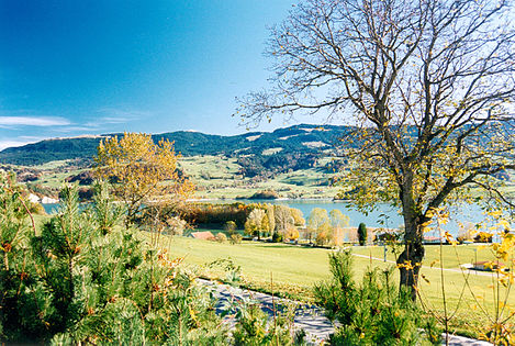 Lac de la Gruyère