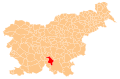 Ribnica municipality