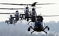 2011.1.6 항작사 코브라(AH-1S) 공격헬기 사격훈련 (7633944752)