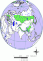 Abies i Eurasien