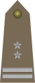 Tenente colonnello (podpułkownik) Esercito polacco