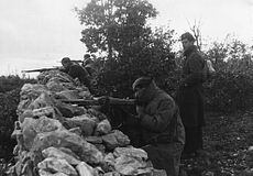 Jugoslovanski partizani ob bojih za osvoboditev Slovenskega primorja, 1945