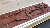 Reconstruction of burial No. 132 of the Oleneostrovsky burial ground (Yuzhni Oleny island, Lake Onega). Exhibit of the National Museum of the Republic of Karelia.[39]