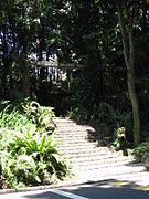 Nature Walk and Dragon Trail, Sentosa, Aug 06.JPG