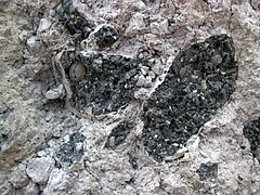 Obsidian clast breccia (Nez Perce Creek Flow, ~152 ka; Firehole Canyon roadcut, Yellowstone, Wyoming, USA) 15 (20298346632).jpg