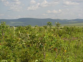 Landschap van Nsele