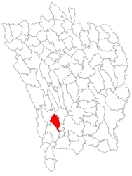 Location in Vaslui County