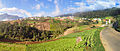 Quetzaltenango farm highlands 2009.jpg, Guatemala Bârâ'