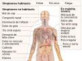 català (Catalan)