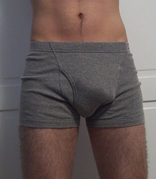 "Boxerbriefs.jpg" by User:Smileforthecam