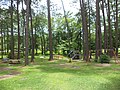 Cumbee Park Swings, Picnic Tables