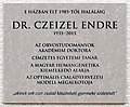 Czeizel Endre