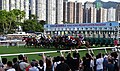 2023年7月1日，於沙田馬場「香港共慶回歸賽馬日」中，香港回歸盃2023賽事開始時馬匹出閘