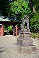 东京根津神社内的狛犬