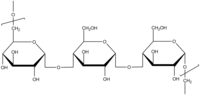 Vignette pour Pullulane