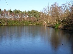 Rapley Lake, frozen - geograph.org.uk - 114972.jpg