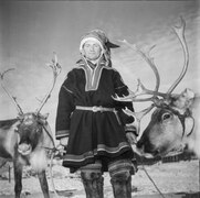 Reindeer week 1951 (JOKAUAS2 858-1).tif