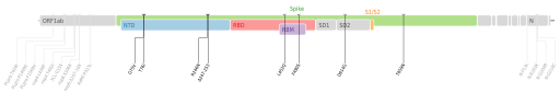 Les mutations du variant Lambda sur une carte génomique du SARS-CoV-2