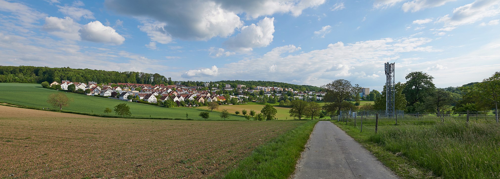 Panoramablick des Salzerts von Norden her (Unterer Wannenweg)