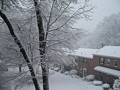 Winter Gerry Road in Hancock Village Brookline Town Massachusetts New England.jpg