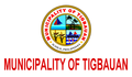 Flag of Tigbauan