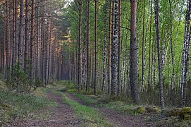 Mustoja Nature Park