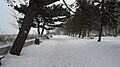 Ustka, Promenada Nadmorska zimą