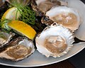 Oesters van Iese