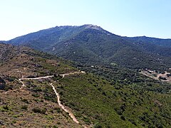 Côté est : le puig depuis le GR 10 au niveau du coll de Vallauria.