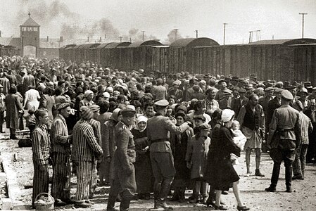 Hungarian Jews on the ramp at Auschwitz II-Birkenau after arriving by train, May 1944.
