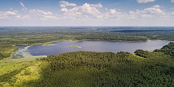 Un paysage lacustre et boisé.