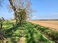 Drents landschap tussen Diever en Wittelte