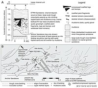 ETRW stratigraphy.jpg