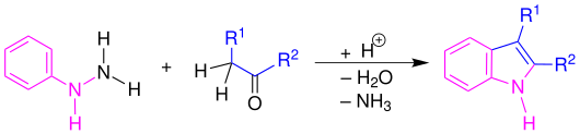 Fischer-Indol-Synthese