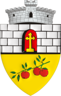 Wappen von Armeniș