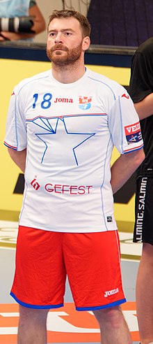 Rastko Stojkovic 20170924.jpg