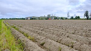 Rixona gezien vanuit de akkers in het zuiden (2021). Rechts op de achtergrond stond tot 2013 boerderij Smeersum