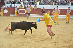 Arènes de Morlanne lors de la course des cuisinières 2019