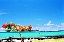 Coast of Mauritius.jpg