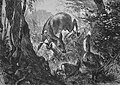 Die Gartenlaube (1869) b 549.jpg Kampf zwischen Fuchs und Reh. Originalzeichnung von C. F. Deiker (S)