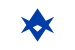 豐田市旗