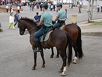 Gendarmi della Guardia Civil in servizio a cavallo