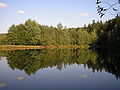 Der kleine Streichteich bei Ilmenau